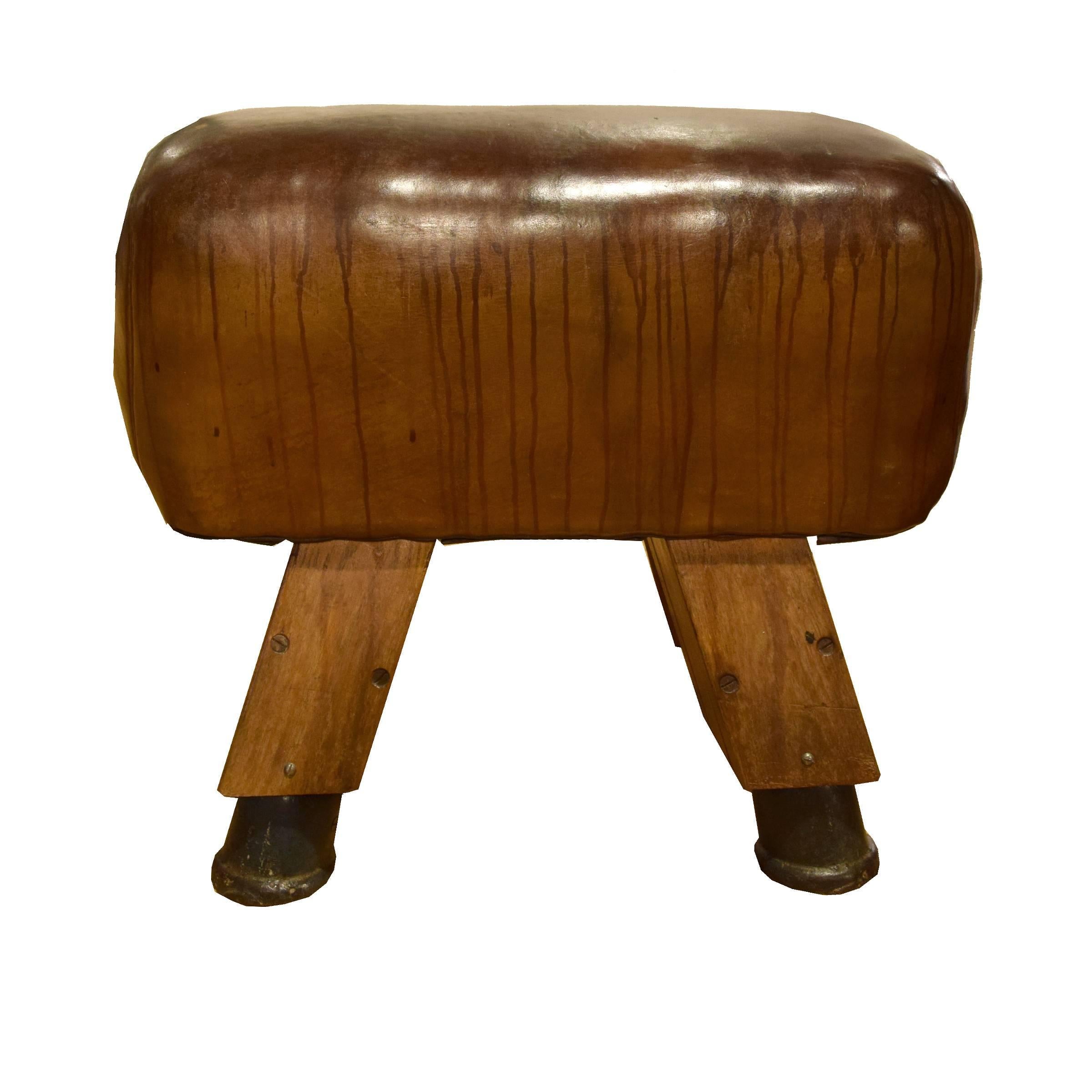 leather pommel bench