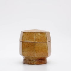 Wood and Salt Fired Box by American Potter Michael Simon