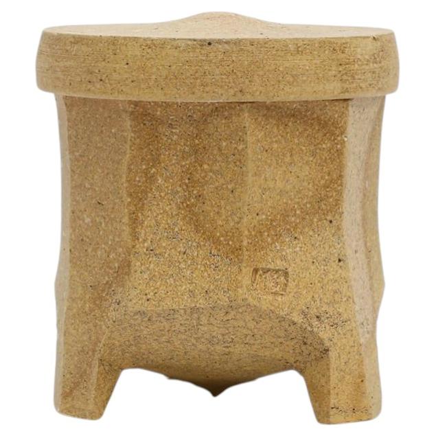 Wood and Salt Fired Box by American Potter Michael Simon