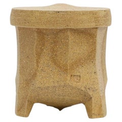 Wood and Salt Fired Box by American Potter Michael Simon