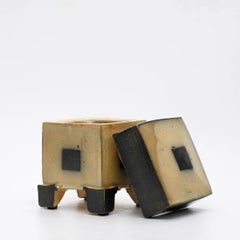 Wood and Salt Fired Box in the Persian Form by American Potter Michael Simon