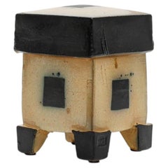 Wood and Salt Fired Box in the Persian Form by American Potter Michael Simon