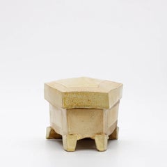 Wood and Salt Fired Trapezoidal Box by American Potter Michael Simon