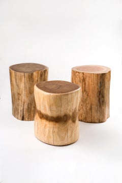 Bone Carved Solid Wooden Stump by Kunaal Kyhaan