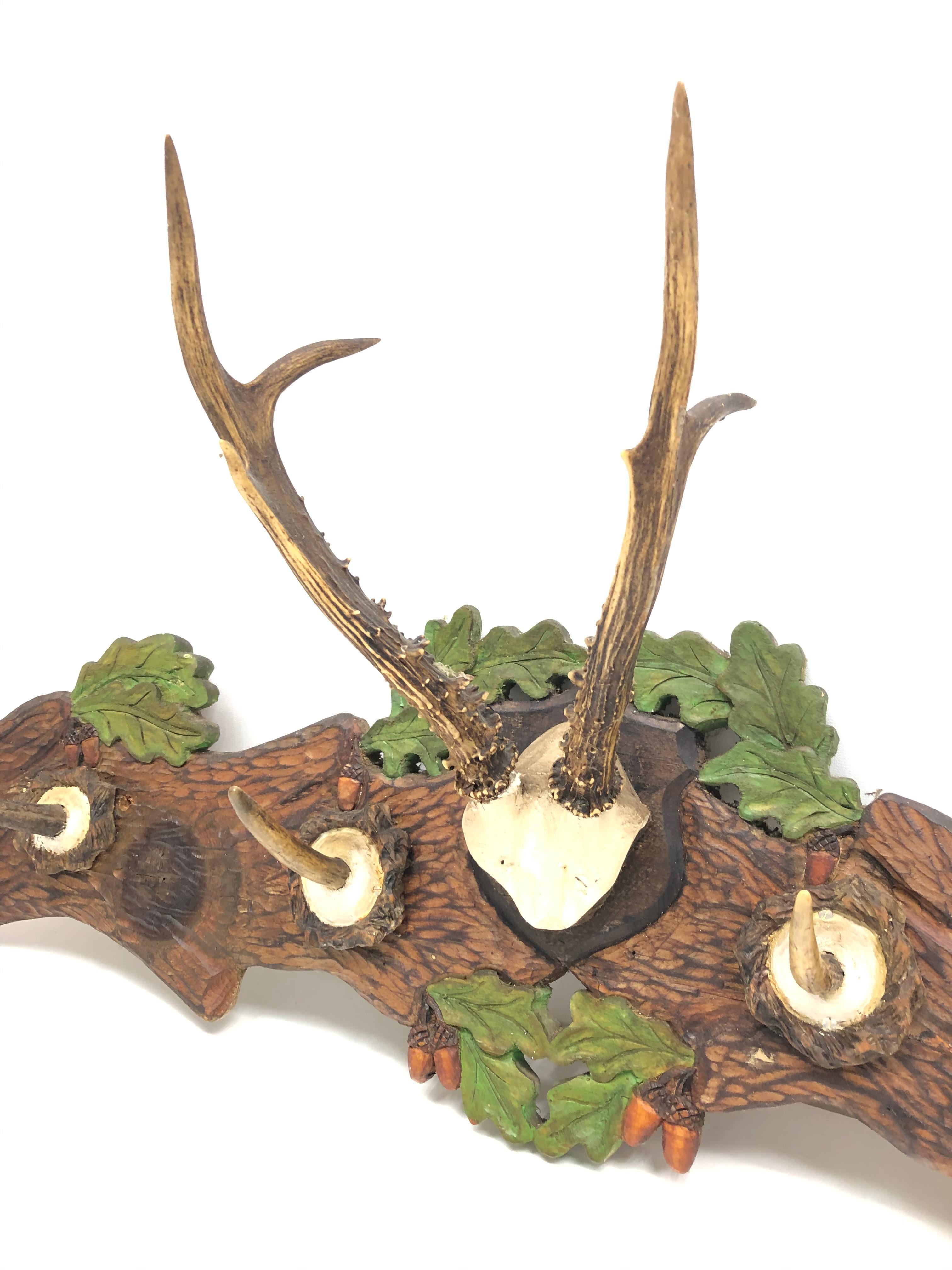 A beautiful 20th century German Black Forest hat or coat rack with a deer Antler Trophy and small deer Antler parts as hooks, mounted to a carved back with oak leaves. Nice addition to a hunters loge or just a man cave.