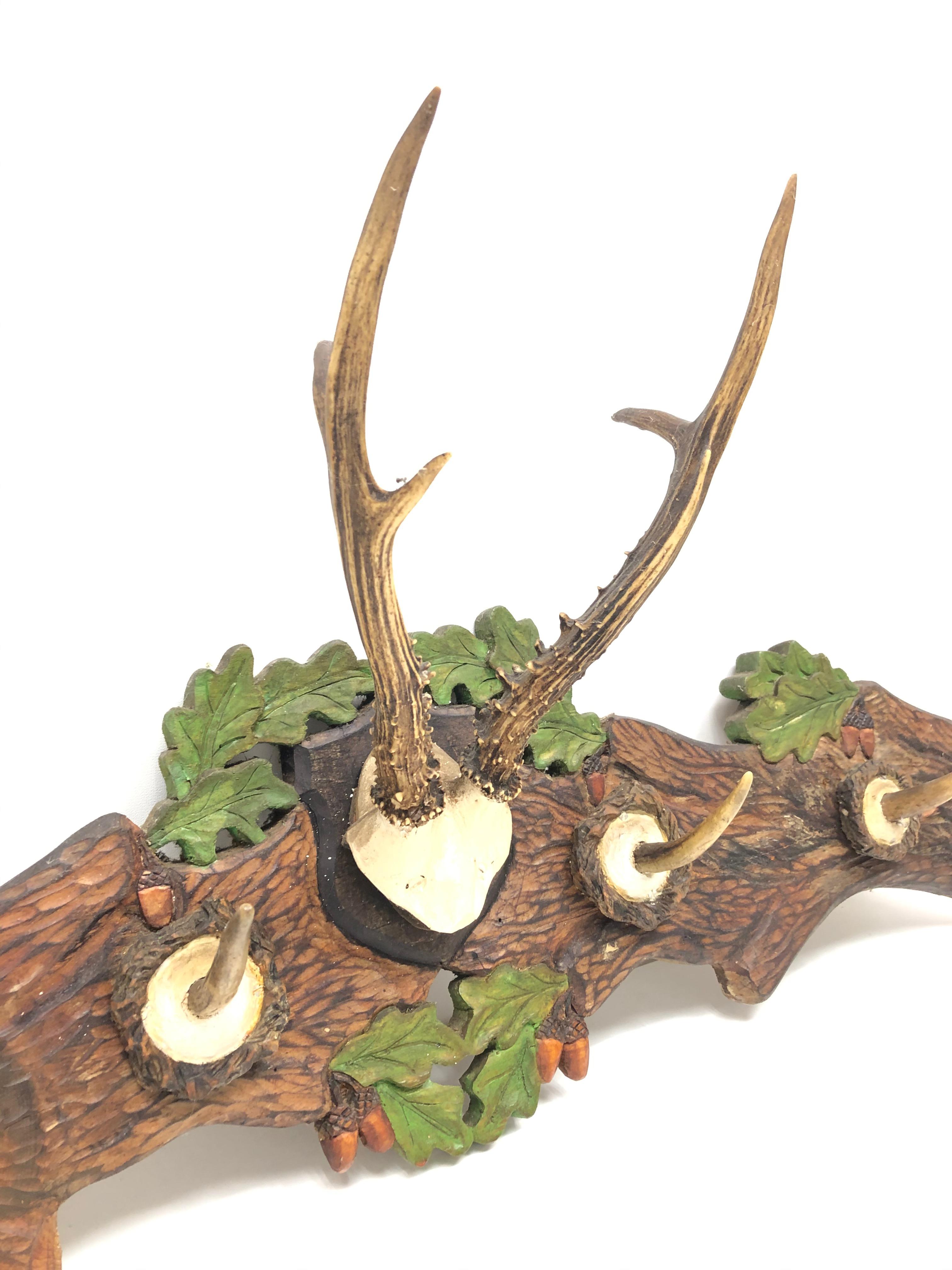 deer horn hat rack