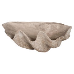 Wood Carved Sea Clam Shell