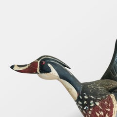Wood Duck Drake in Flight