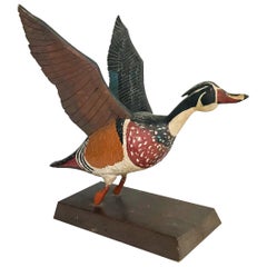 Vintage Wood Duck Drake in Flight