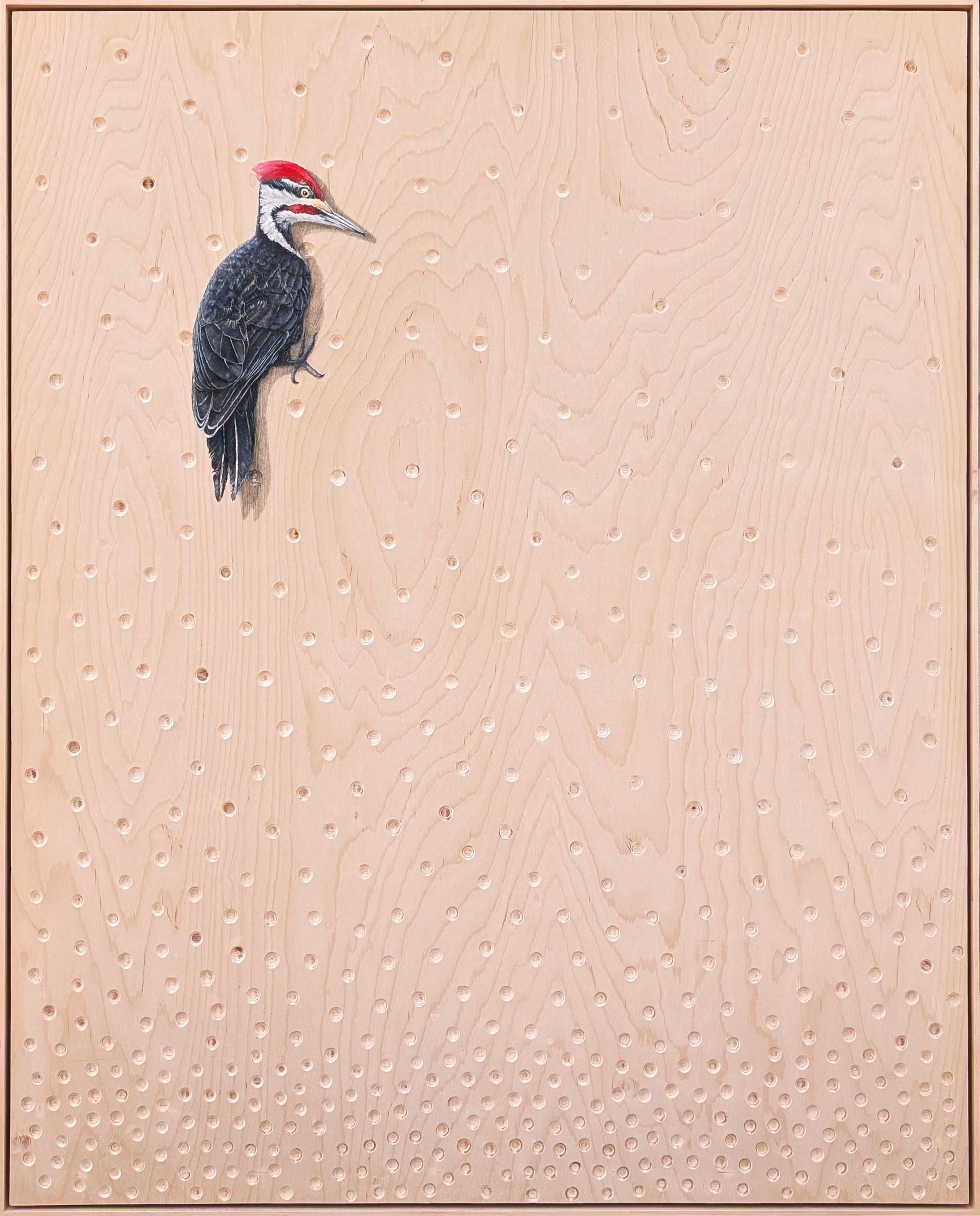 Still-Life Painting de Wood Fancher Anthony - "El Artista" Pintura Contemporánea Realista de un Pájaro Carpintero Pileado