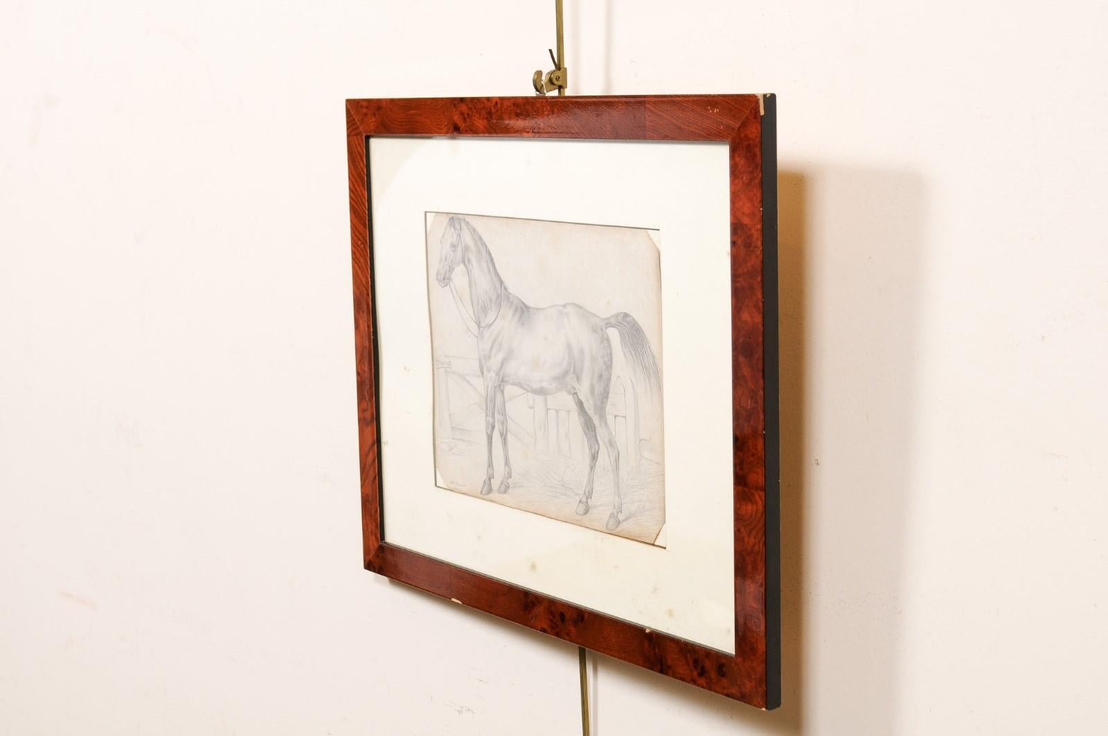 Dessin d'un cheval encadré en bois du 18ème siècle, Italie en vente 3