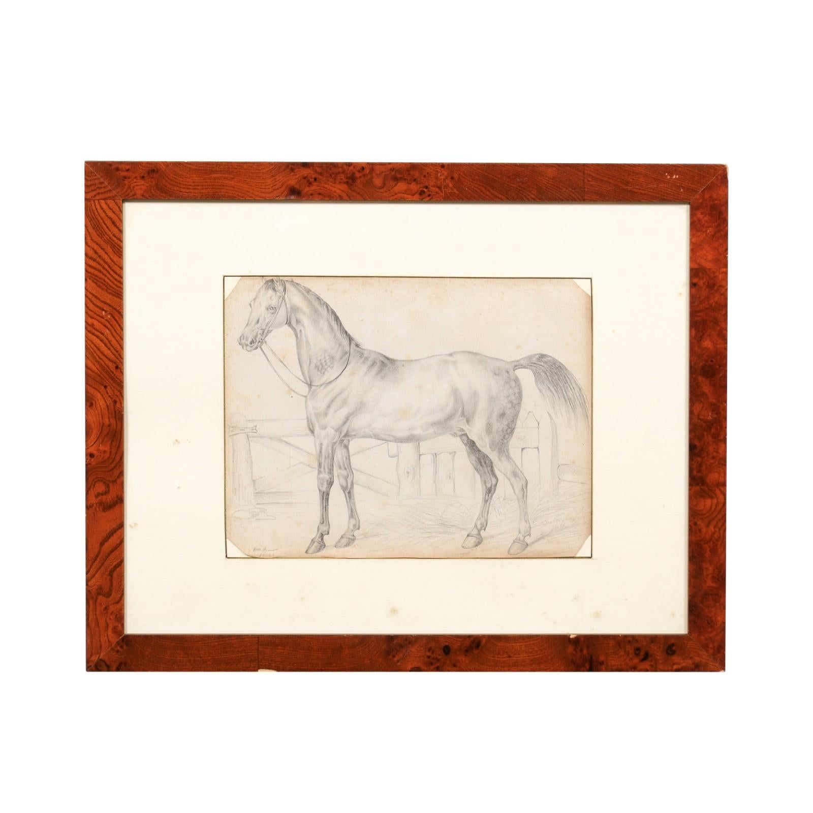 Gerahmte Holzzeichnung eines Pferdes aus dem 18. Jahrhundert, Italien (Italienisch) im Angebot