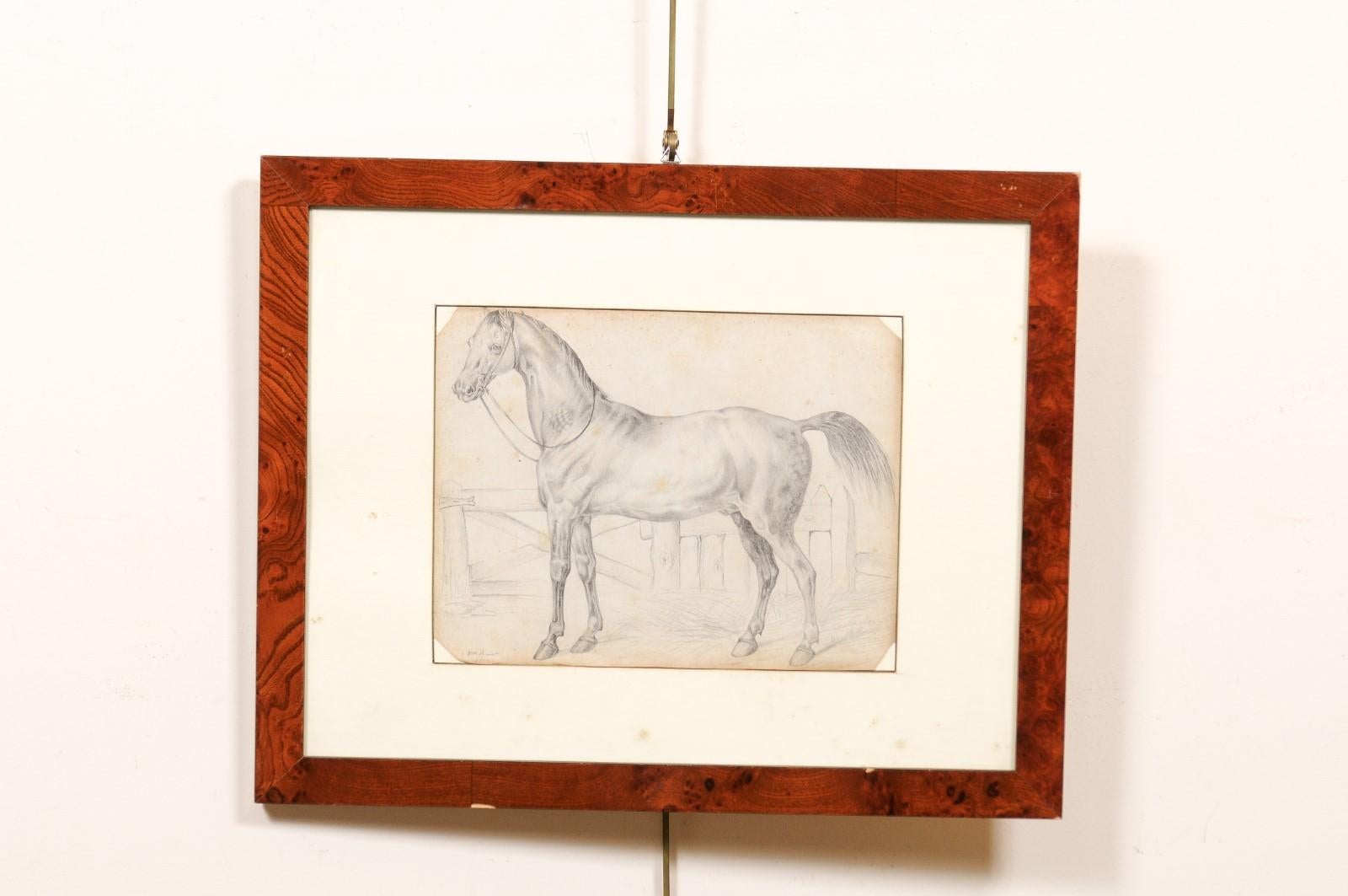 Italian Wood Framed 18th Century Drawing of a Horse, Italy For Sale