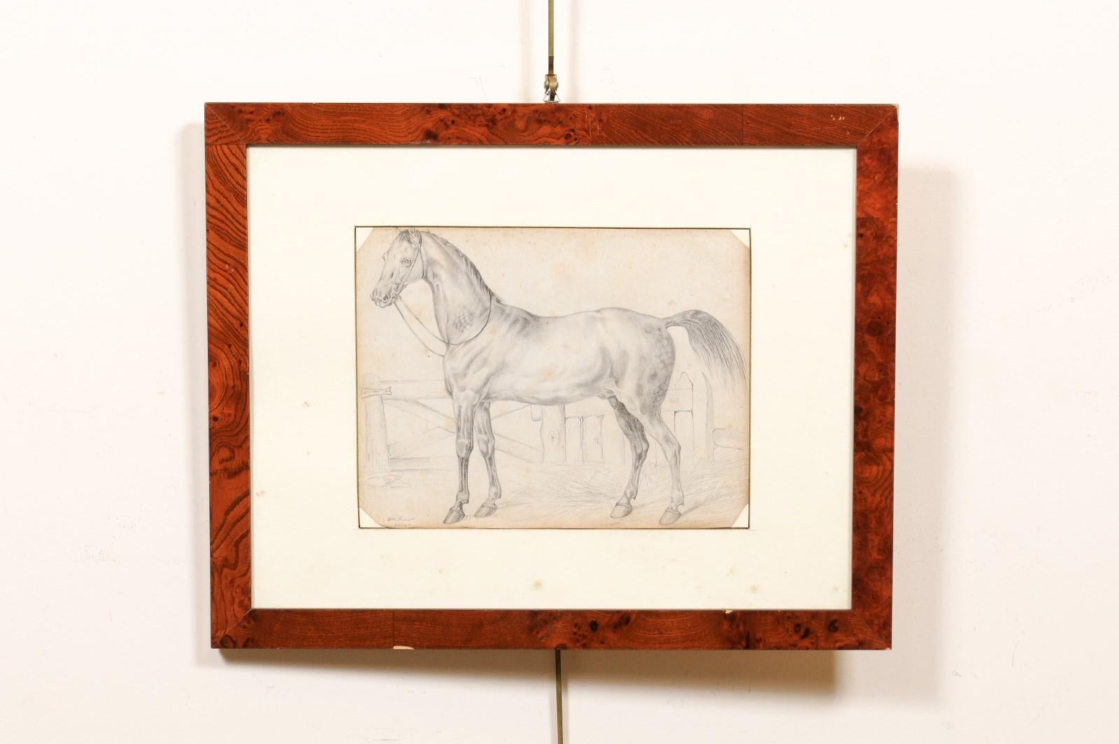 italien Dessin d'un cheval encadré en bois du 18ème siècle, Italie en vente