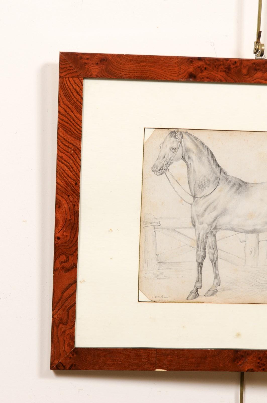 18th Century and Earlier Wood Framed 18th Century Drawing of a Horse, Italy For Sale