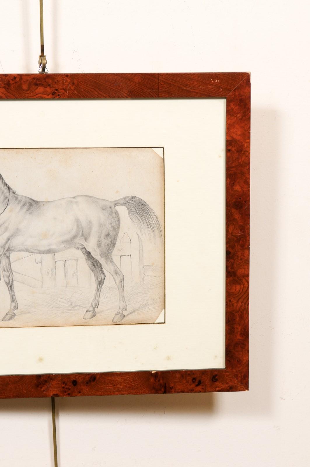 Wood Framed 18th Century Drawing of a Horse, Italy For Sale 1