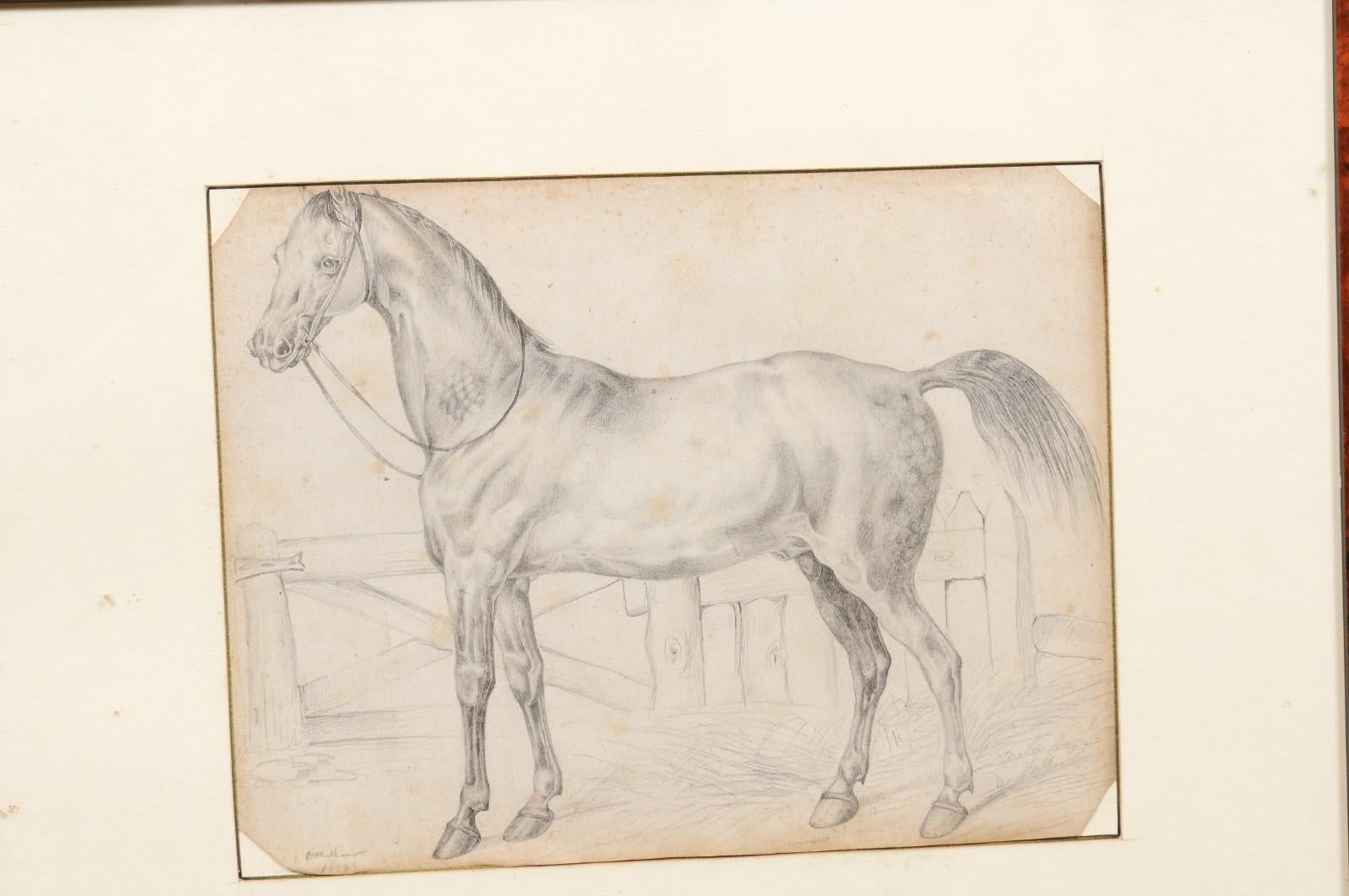Bois Dessin d'un cheval encadré en bois du 18ème siècle, Italie en vente