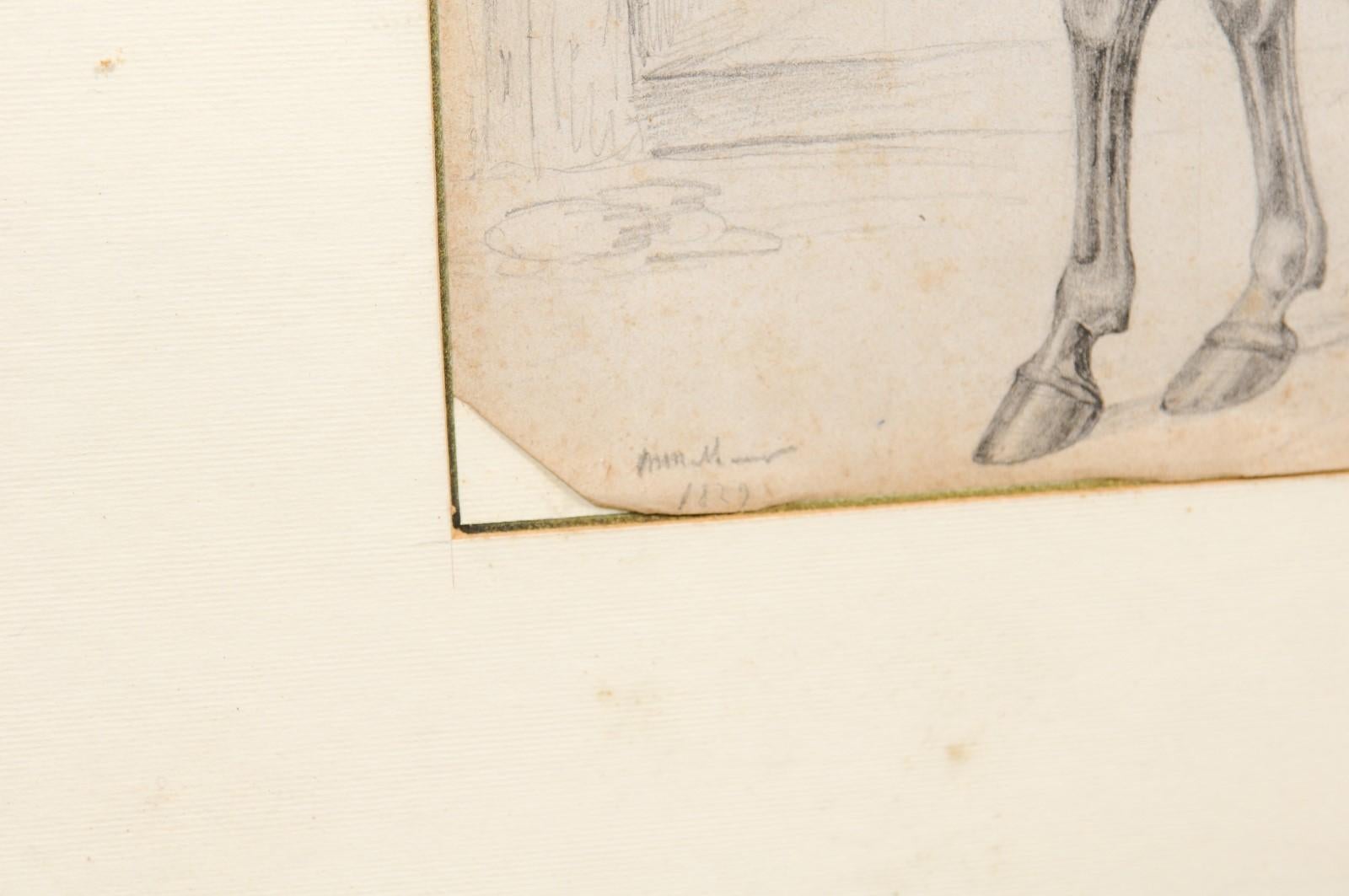 Gerahmte Holzzeichnung eines Pferdes aus dem 18. Jahrhundert, Italien im Angebot 4