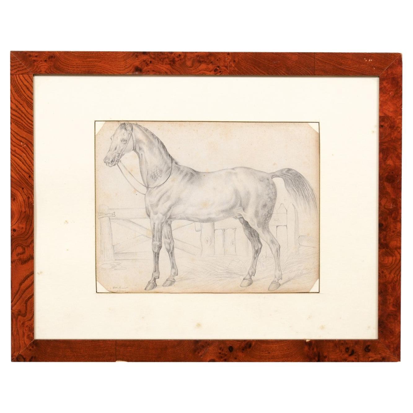Dessin d'un cheval encadré en bois du 18ème siècle, Italie en vente