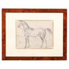 Wood Framed 18th Century Drawing of a Horse, Italy