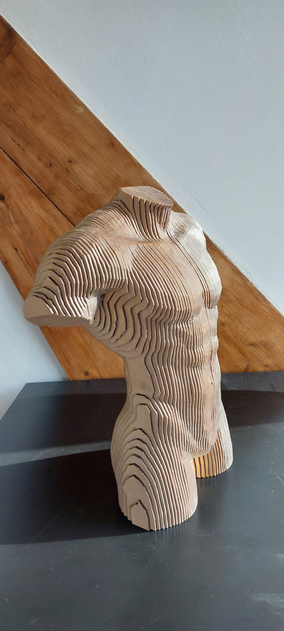 The design of the male torso must be meticulously planned, paying close attention to anatomical details. The layers of MDF should be cut and stacked to accurately resemble the curves and contours of the human body. Each layer of MDF needs to be cut