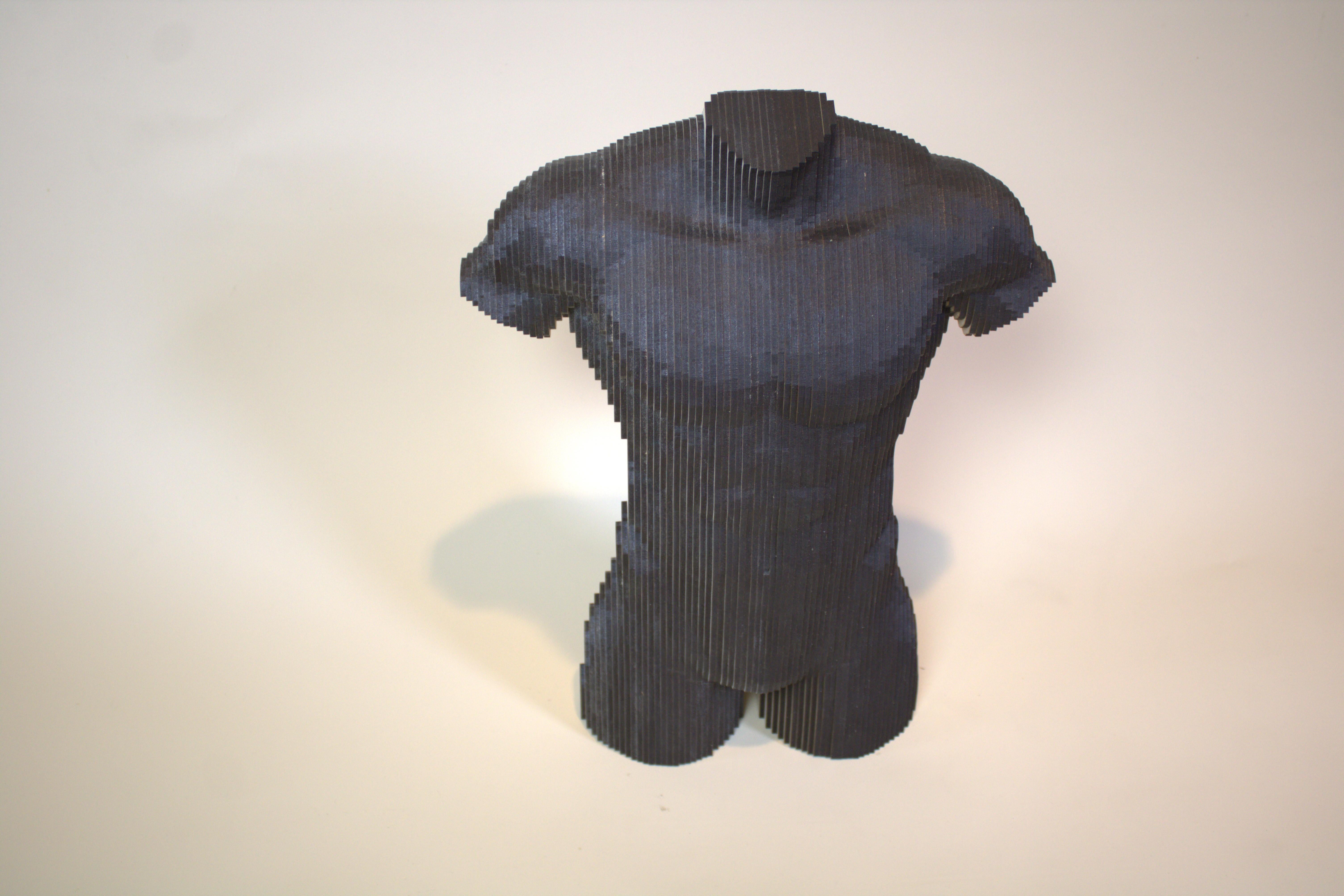 Il design del busto maschile deve essere pianificato meticolosamente, prestando molta attenzione ai dettagli anatomici. Gli strati di MDF devono essere tagliati e impilati in modo da assomigliare accuratamente alle curve e ai contorni del corpo
