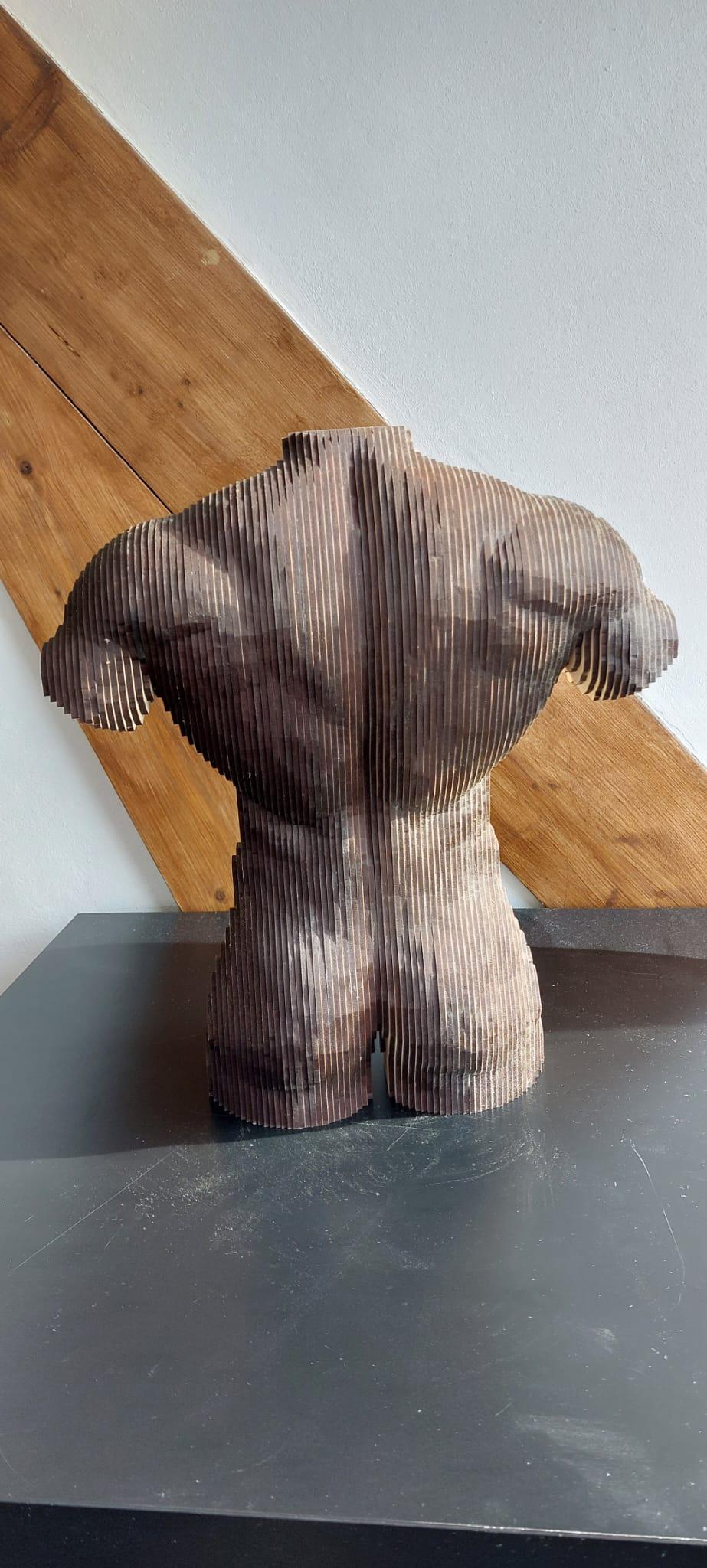 Plywood Wood Male Torso Sculpture MDF  For Sale