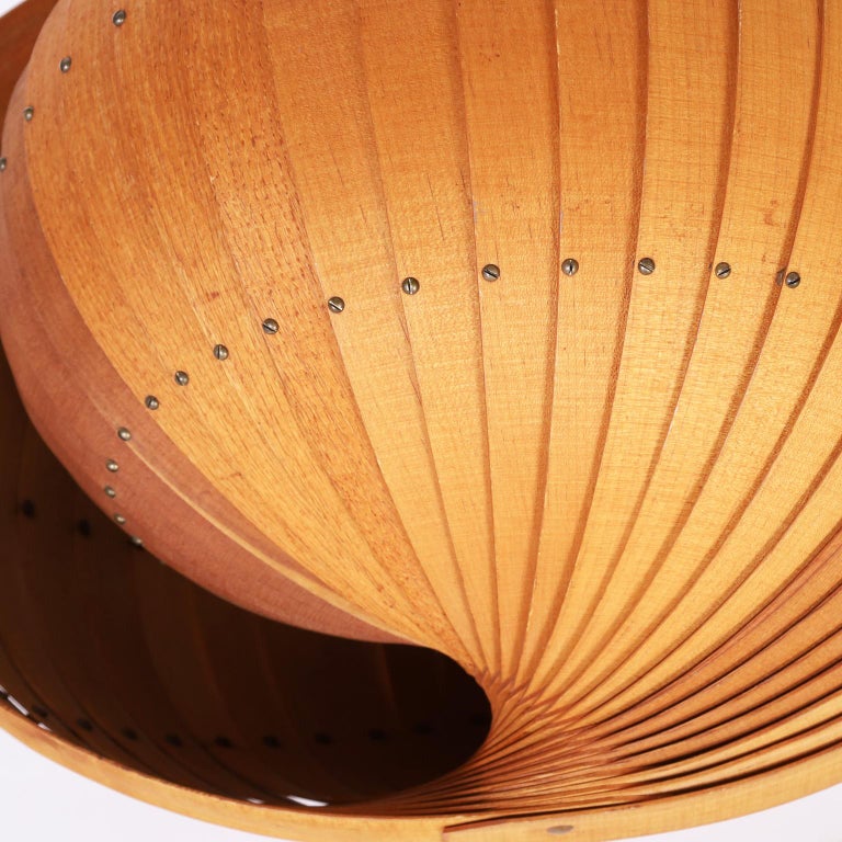 Wood Nautilus Shell Sculpture For Sale at 1stDibs | nautilus sculpture