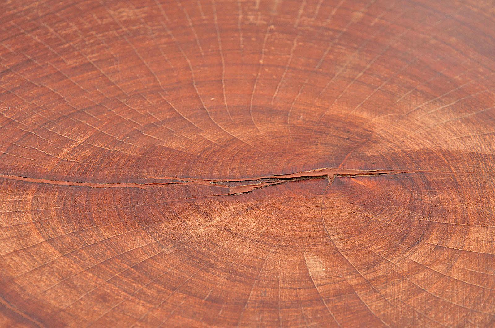 Wood Organic Coffee Table, 1950, France, Brown Color, Polishes Oil Finished 5