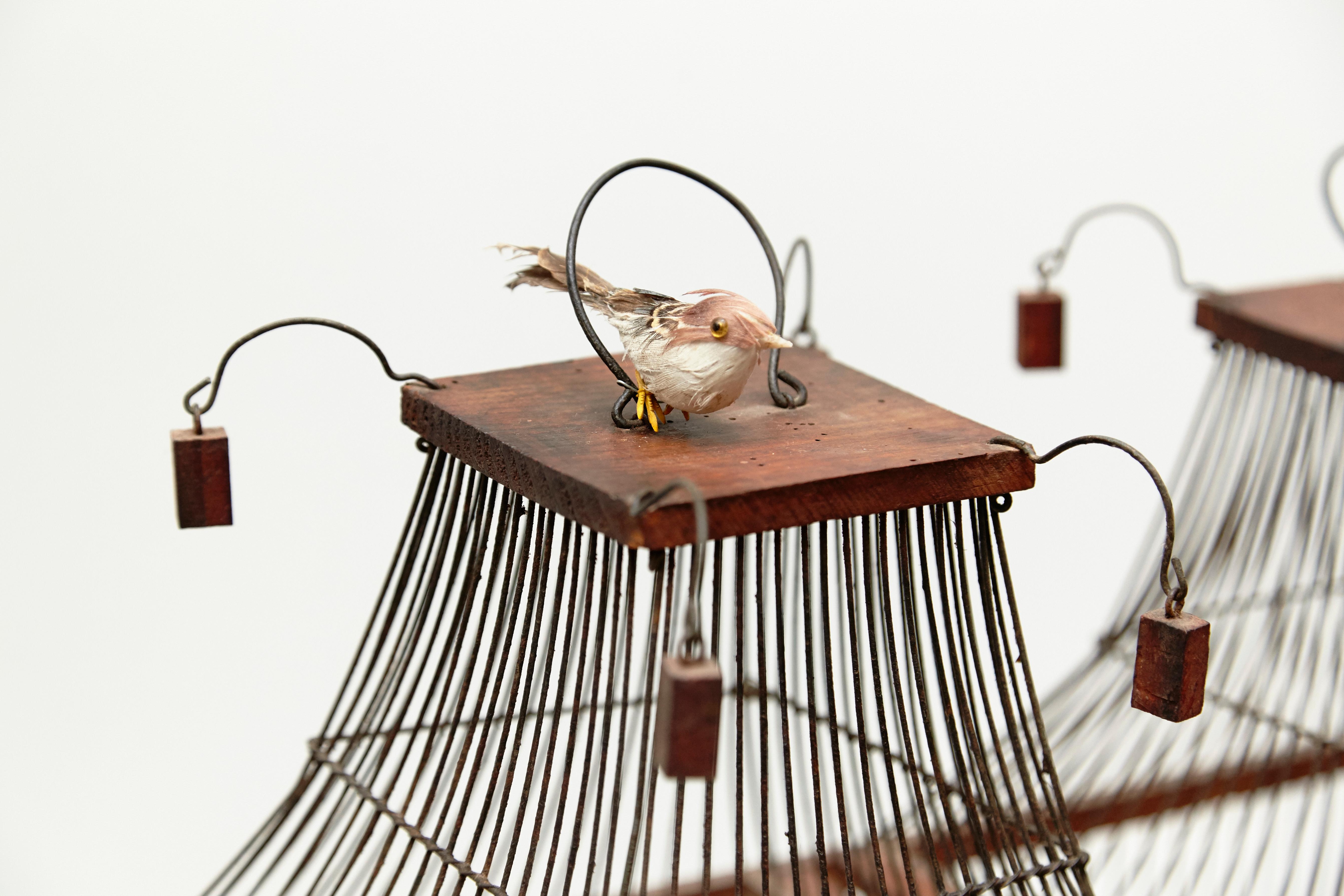 Mid-Century Modern Wood Popular Traditional Bird Cage in Wood and Metal from France, circa 1930