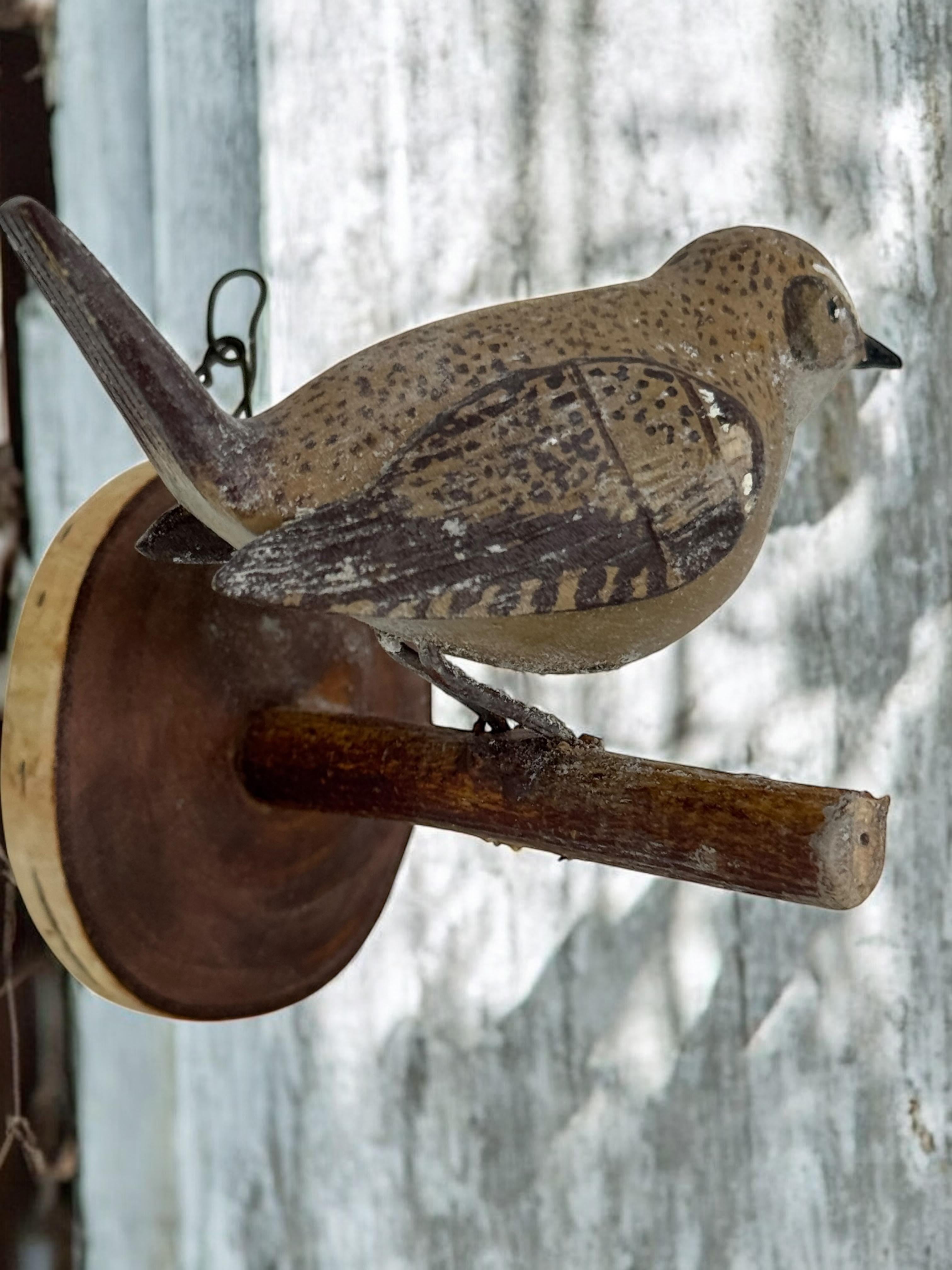 Wood Rock Wren Vichtauer Pájaro de Madera Tallado a Mano Black Forest Folk Art Austria en venta 5