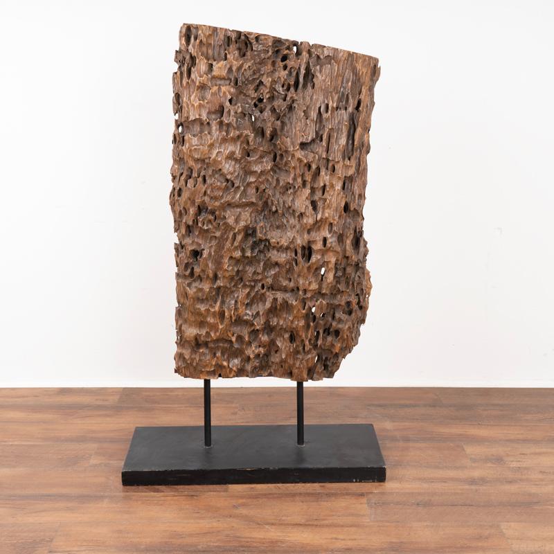 Filippino Scultura in Wood realizzata con radice organica di Molave, Filippine in vendita
