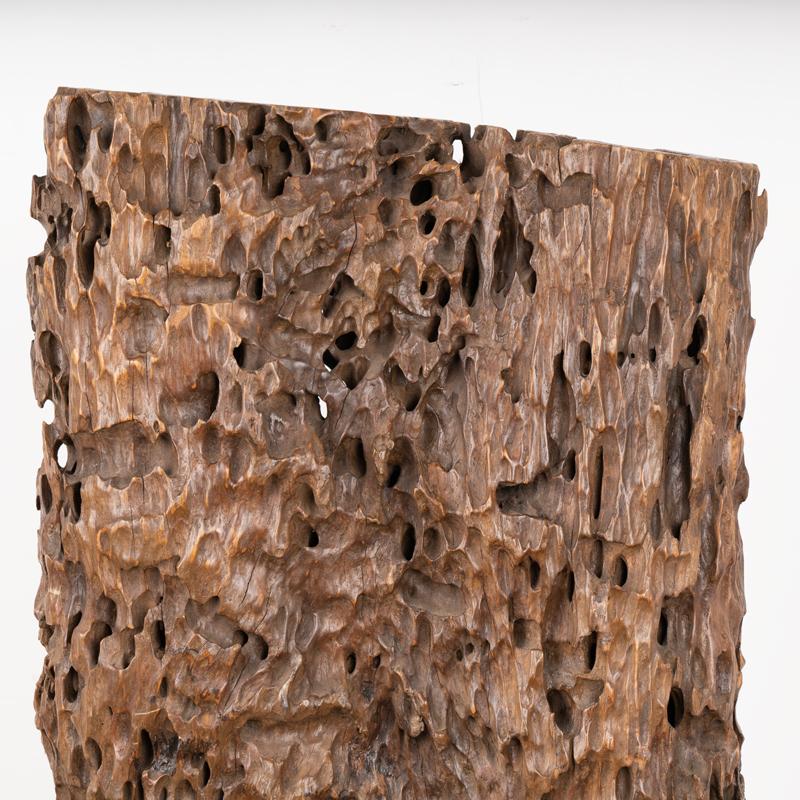 Scultura in Wood realizzata con radice organica di Molave, Filippine In condizioni buone in vendita a Round Top, TX