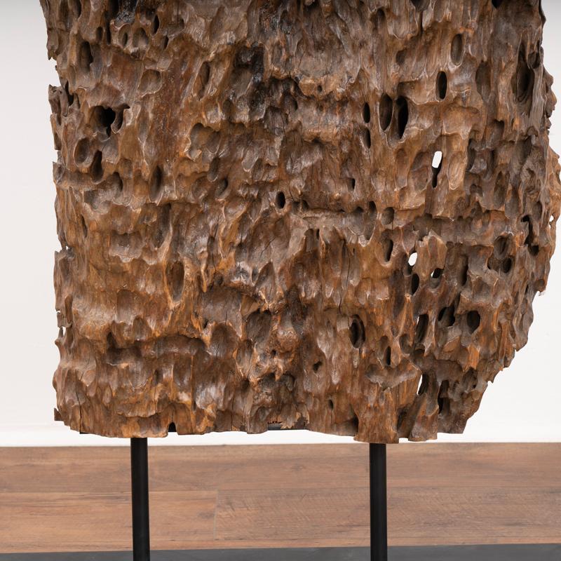 XX secolo Scultura in Wood realizzata con radice organica di Molave, Filippine in vendita