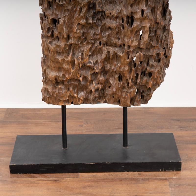 Metallo Scultura in Wood realizzata con radice organica di Molave, Filippine in vendita