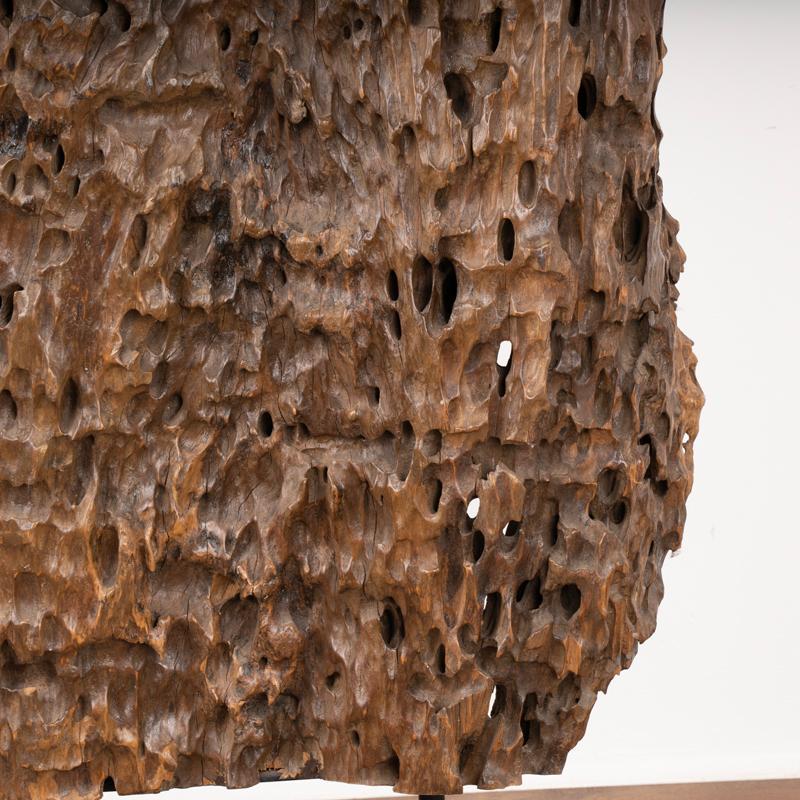 Scultura in Wood realizzata con radice organica di Molave, Filippine in vendita 1