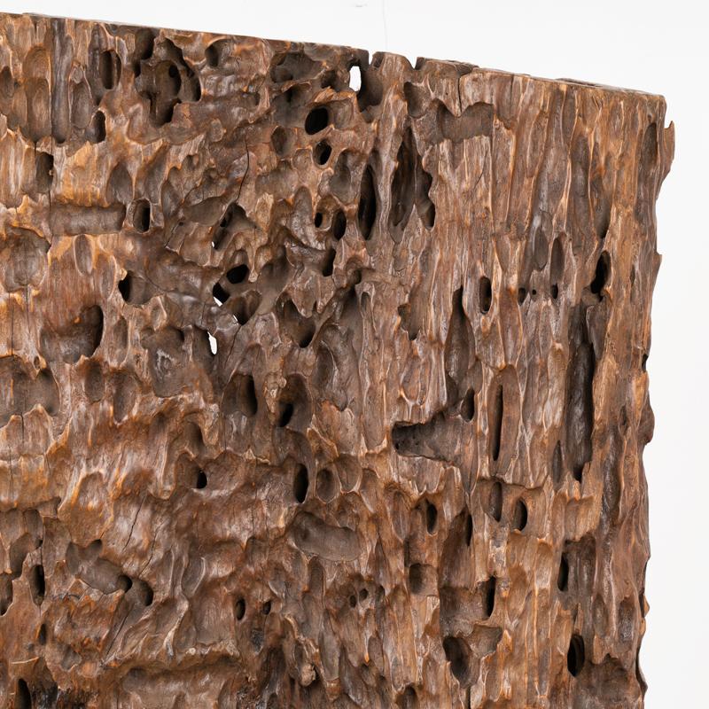 Scultura in Wood realizzata con radice organica di Molave, Filippine in vendita 2