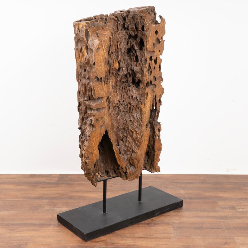 Scultura in Wood realizzata con radice organica di Molave, Filippine in vendita 3