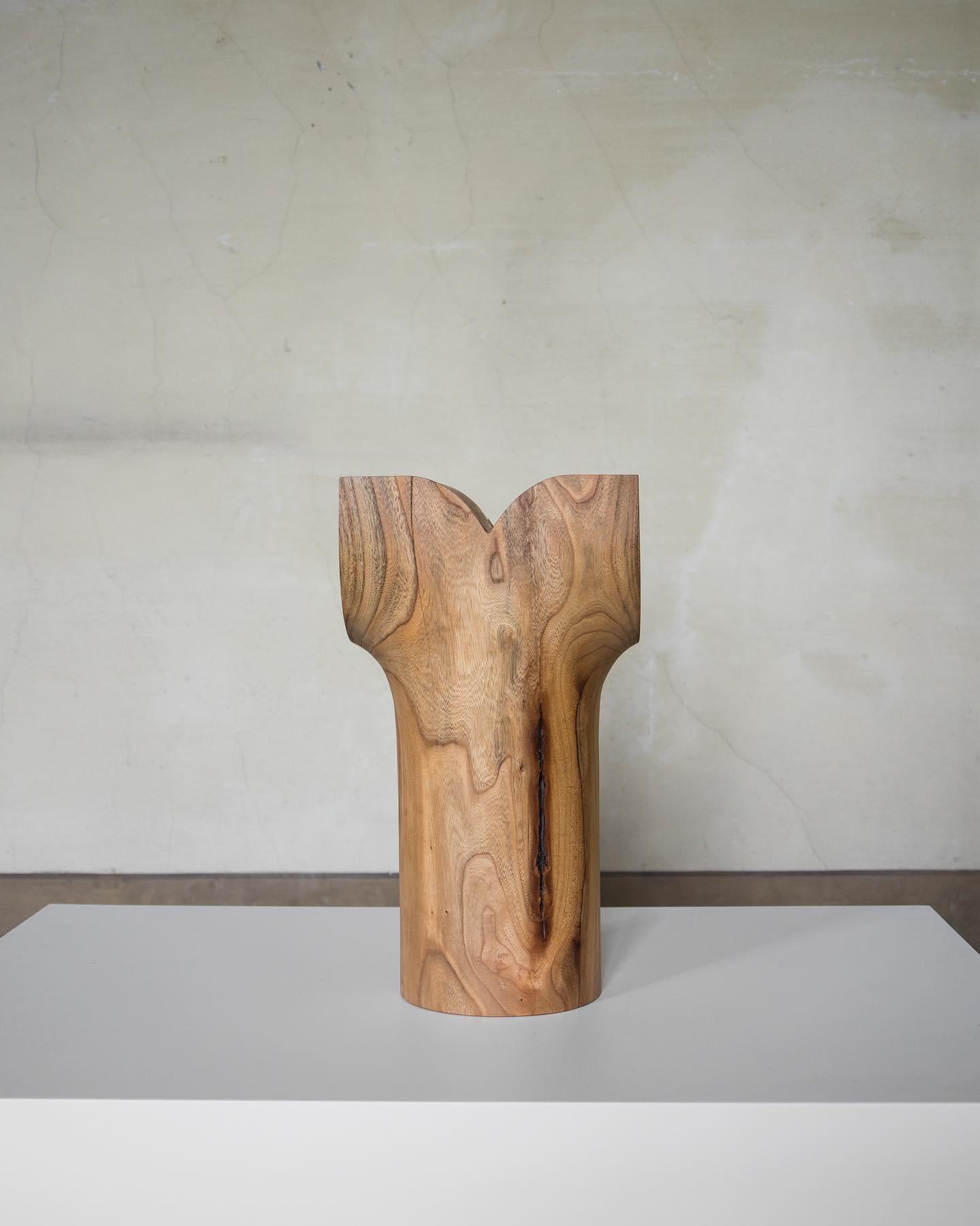 Tedesco Sculture in Wood di Touch With Eyes in vendita