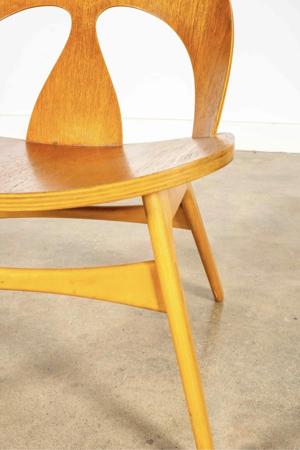 Legno Sedia Wood Shell