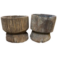 Wood Tree Stumps from India, circa 1920