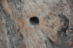 Wood Wheel on Iron Stand