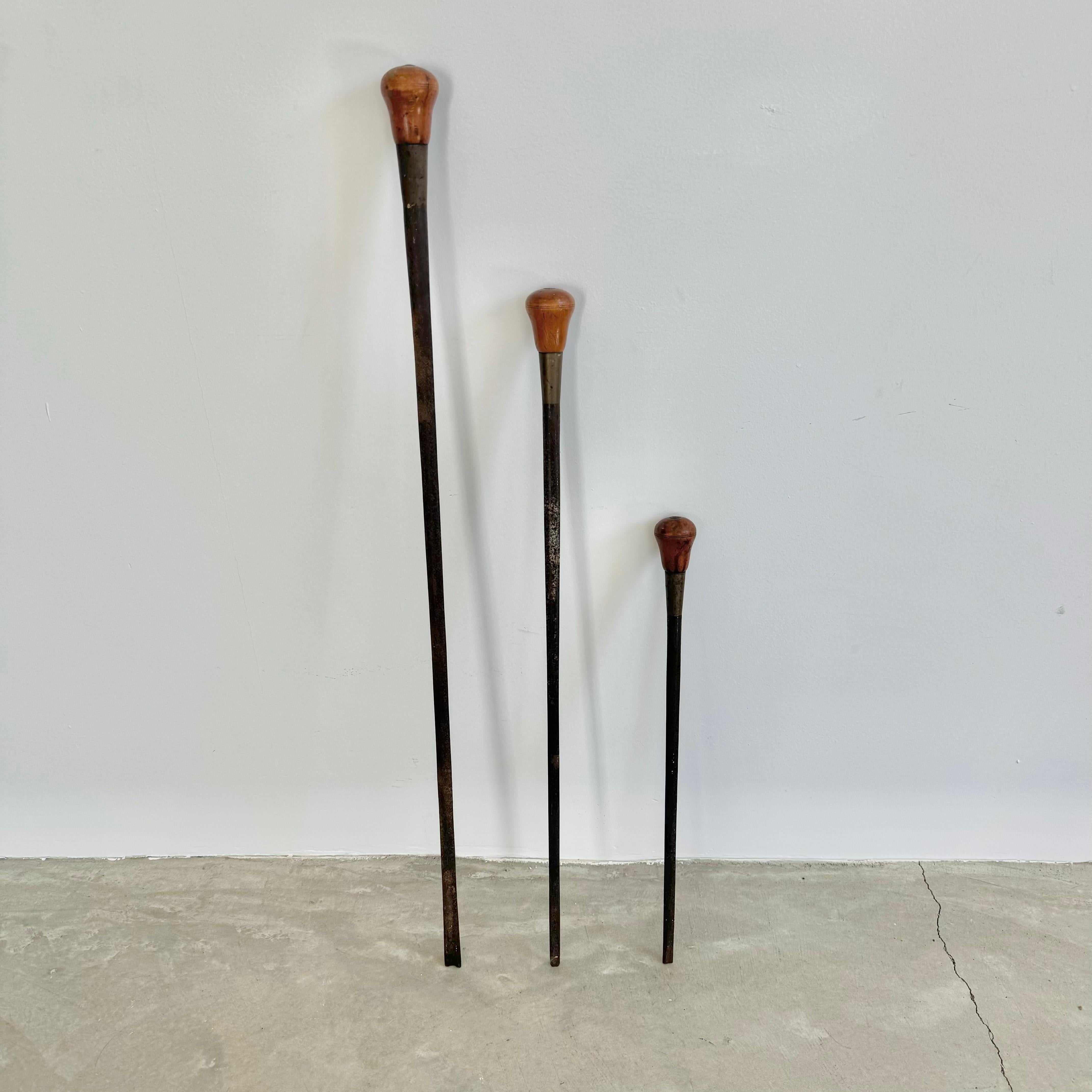 Wood Working Chisels, 1950s France For Sale 10