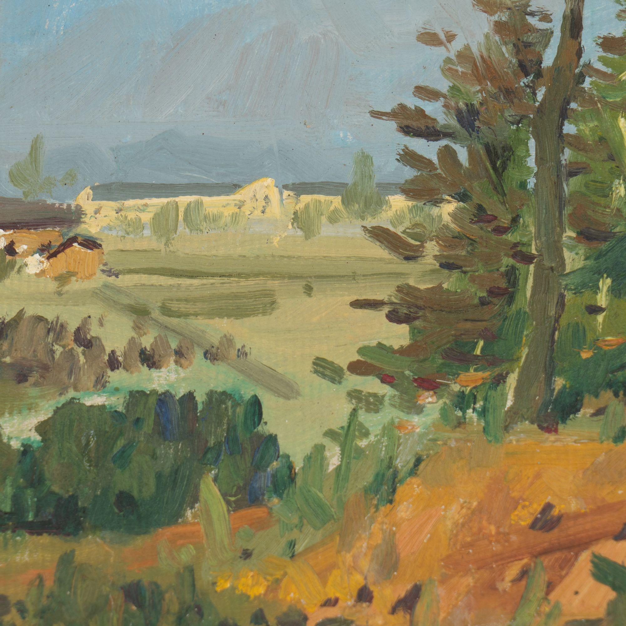 20th Century Wooded landscape, South of France, 1900-25 For Sale