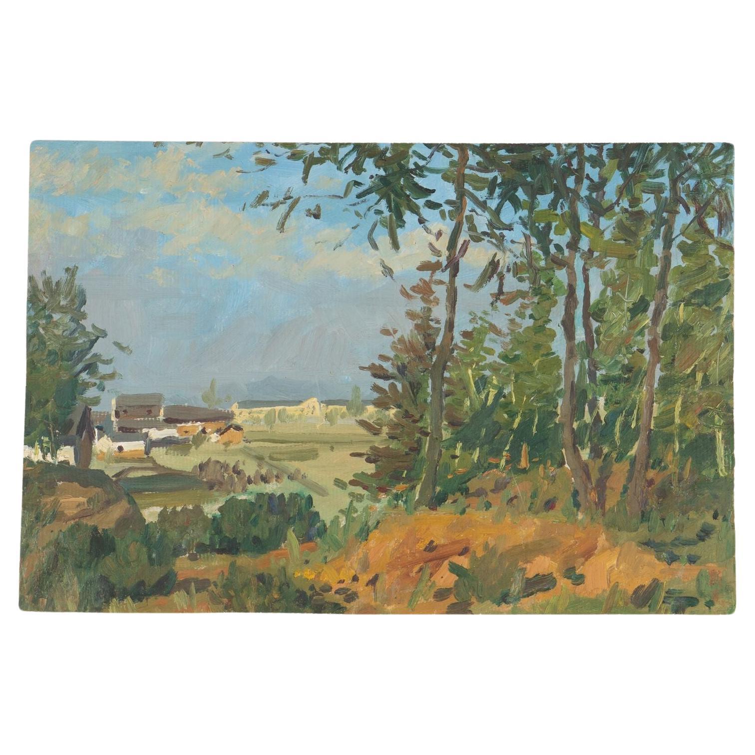 Wooded landscape, South of France, 1900-25 For Sale