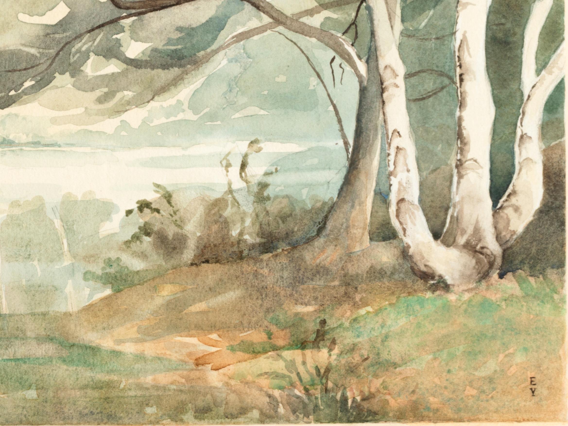 'Wooded Landscape' Watercolour by English Artist Signed Eileen Young In Good Condition For Sale In London, GB