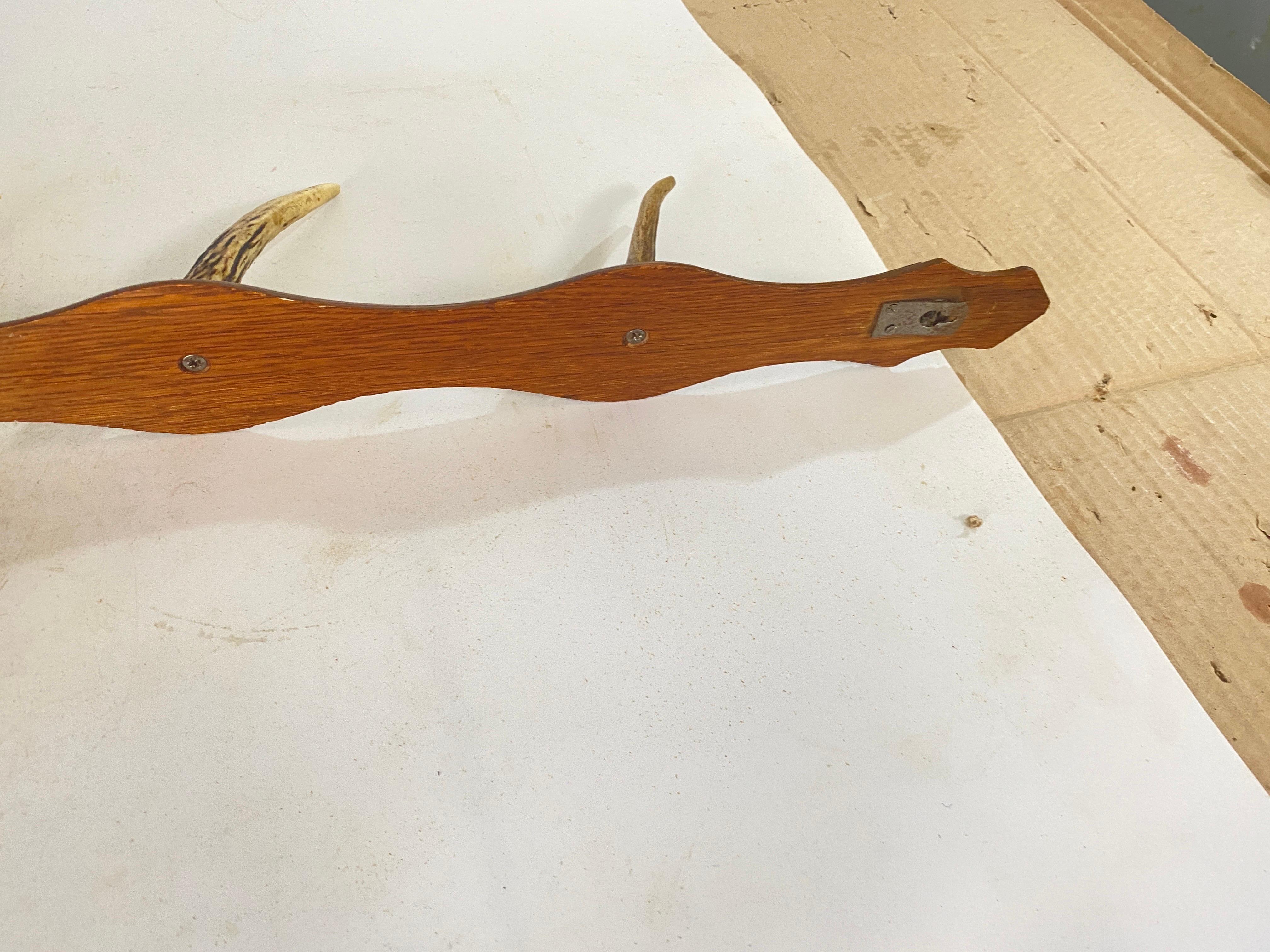 Kleiderständer aus Holz und Horn, 4 Haken, Brown und weiß, Frankreich 1960 (Rustikal) im Angebot