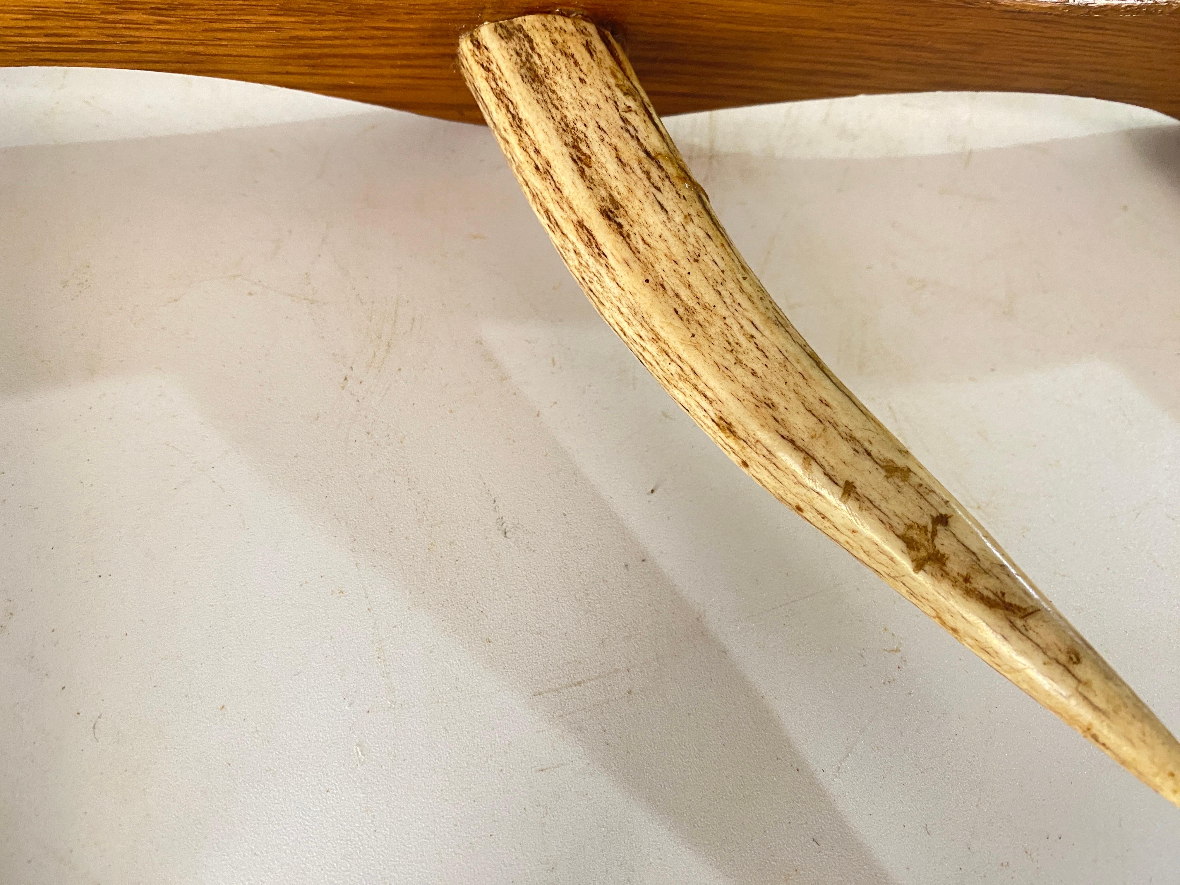 Kleiderständer aus Holz und Horn, 4 Haken, Brown und weiß, Frankreich 1960 im Zustand „Gut“ im Angebot in Auribeau sur Siagne, FR