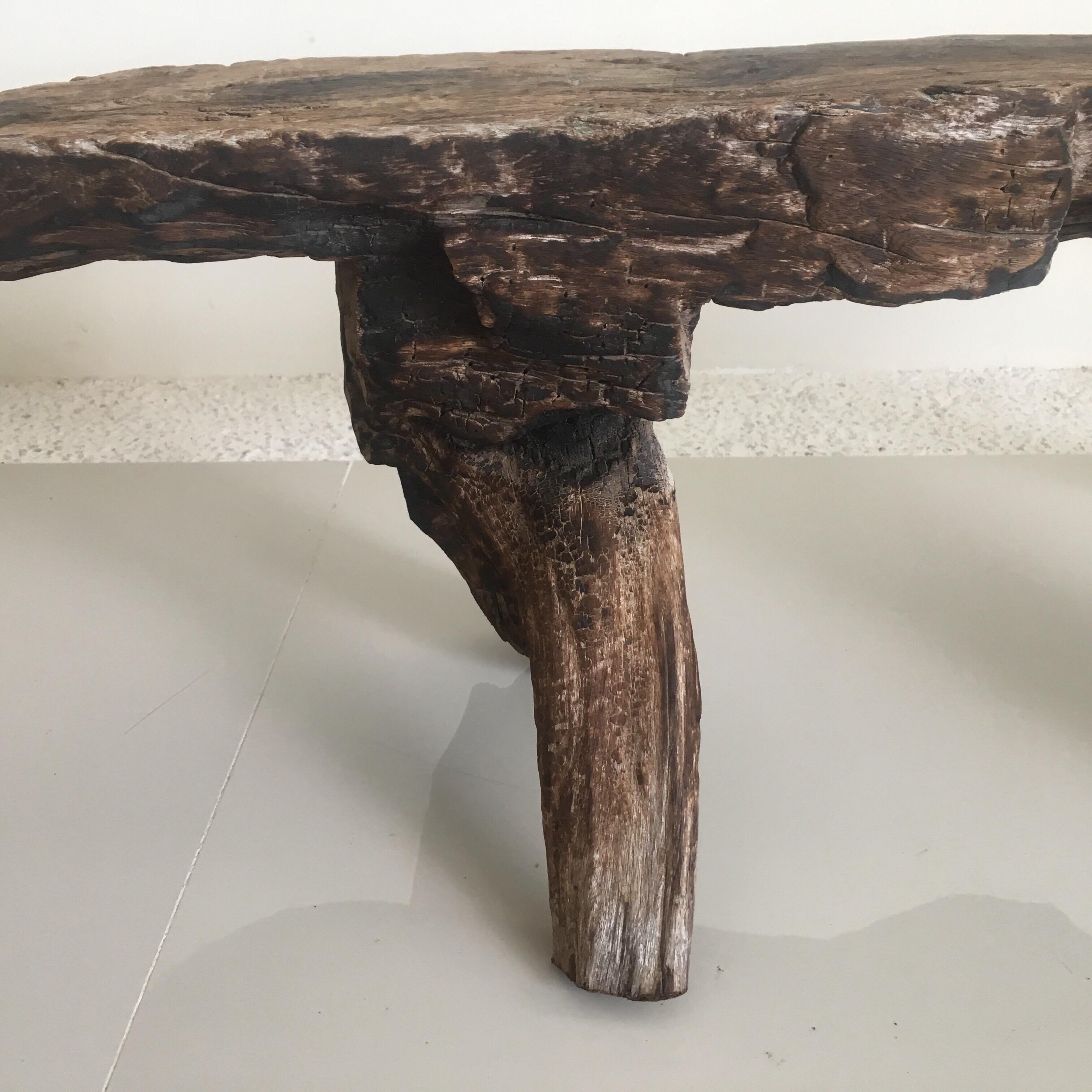 Wooden Bench Carved from One Piece of Mesquite 4