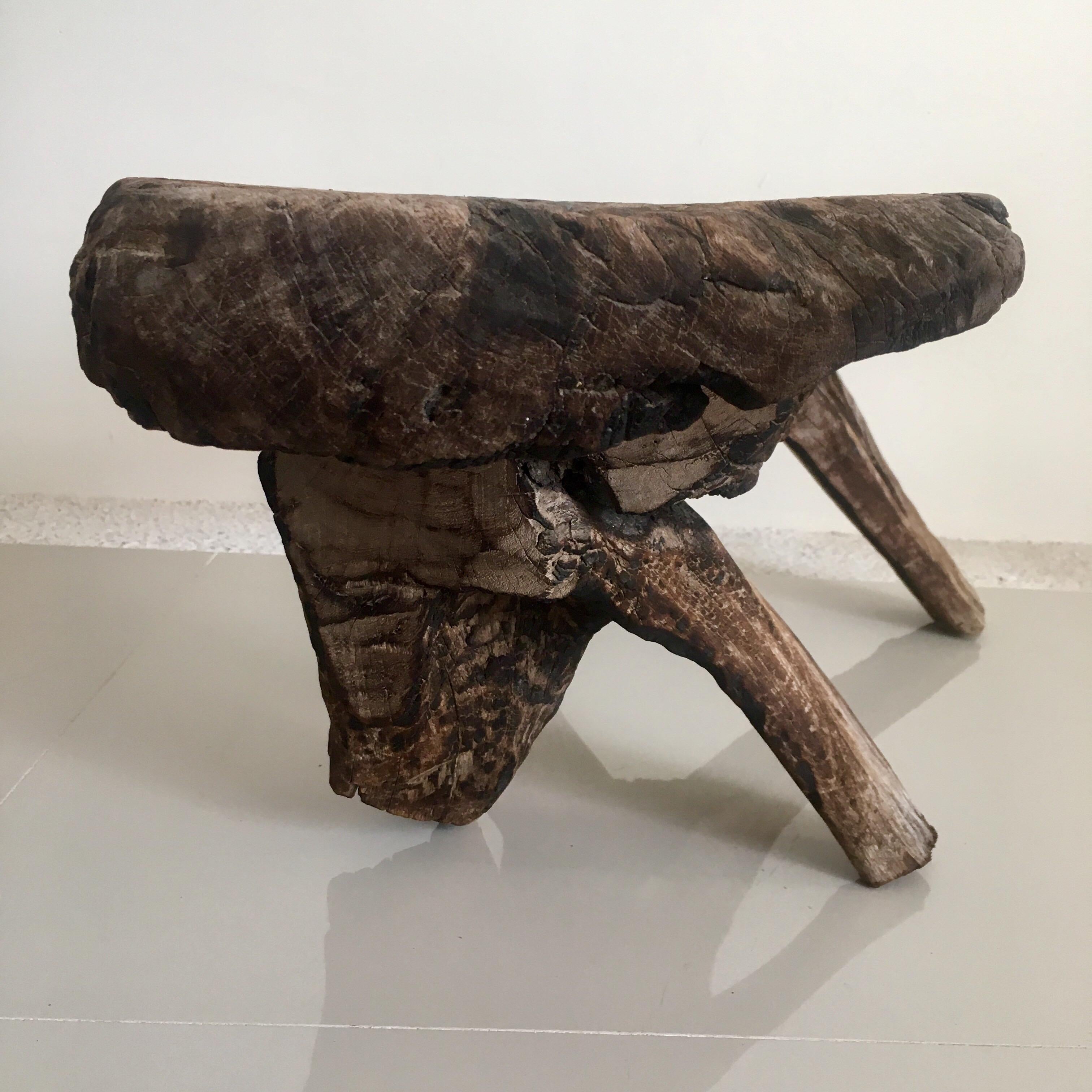 Primitive style bench carved from one piece of mesquite trunk. Shows considerable age. The stool-like piece was located in the Sierra Gorda region north of San Luis de la Paz. Visible blue patina on top of stool. Unusual piece.